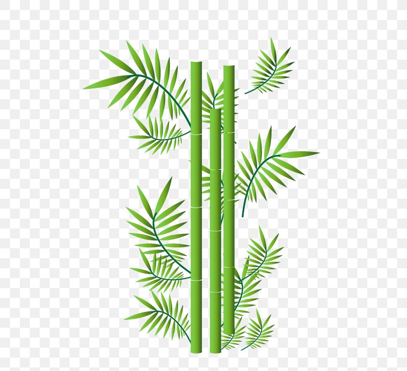 Bamboo Ornament Illustration, PNG, 652x747px, Bamboo, Arecales, Art, Bamboo Musical Instruments, Borassus Flabellifer Download Free