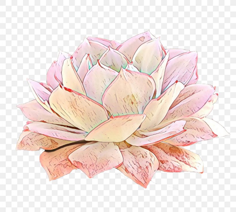 Floral Design Rose Cut Flowers Petal, PNG, 1024x920px, Floral Design, Aquatic Plant, Botany, Cut Flowers, Echeveria Download Free