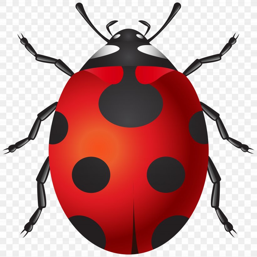Insect Ladybird Clip Art, PNG, 7990x8000px, 3d Computer Graphics, Insect, Arthropod, Beetle, Computer Software Download Free