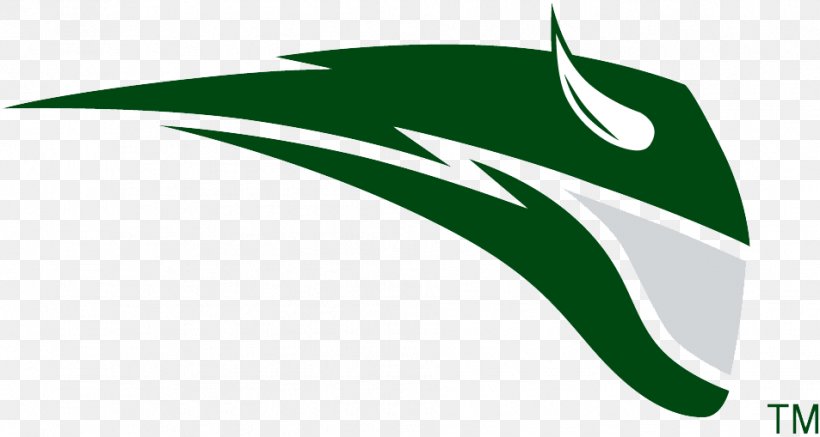 Portland State University Portland State Vikings Men's Basketball University Of Portland Portland State Vikings Football Alabama State University, PNG, 953x509px, Portland State University, Alabama State University, College, Division I Ncaa, Grass Download Free