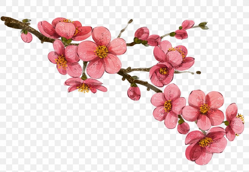 China Flower Drawing Illustration, PNG, 2208x1524px, China, Art, Blossom, Botanical Illustration, Branch Download Free