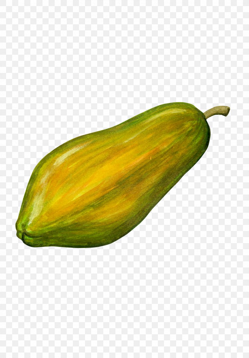 Papaya Fruit, PNG, 1600x2300px, Papaya, Auglis, Food, Fruit, Vecteur Download Free