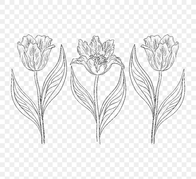 Drawing Tulip Photography Flower Sketch, PNG, 750x750px, Drawing, Artwork, Black And White, Branch, Contour Drawing Download Free