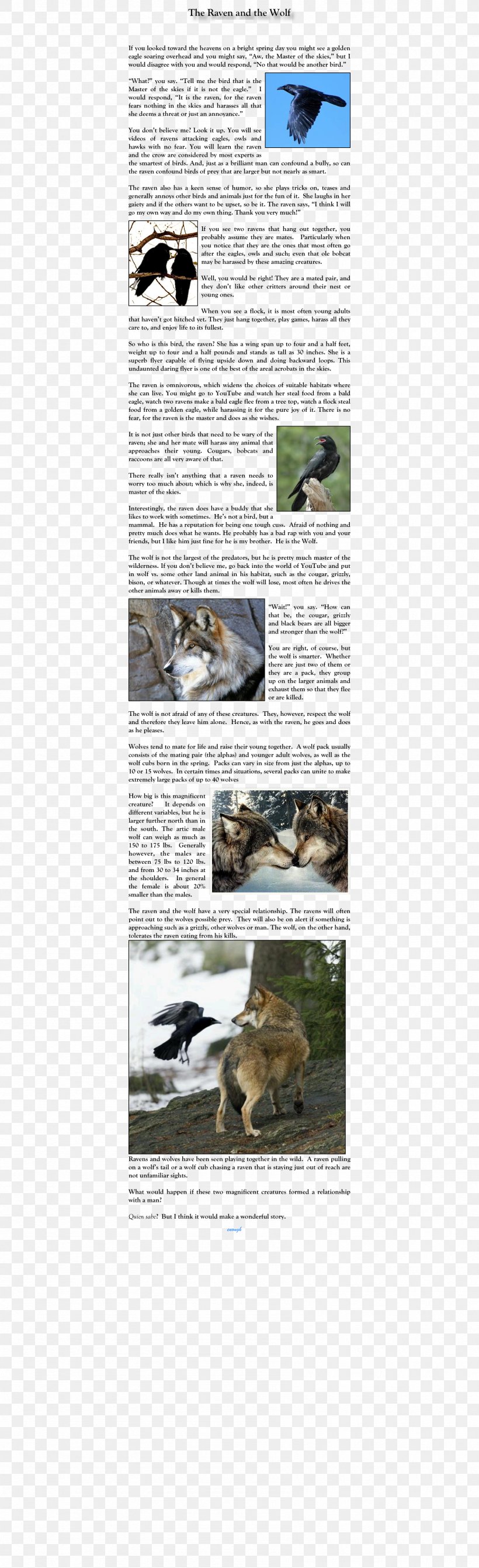 Gray Wolf Handbag Tote Bag Animal, PNG, 1692x5533px, Gray Wolf, Animal, Bag, Fauna, Handbag Download Free