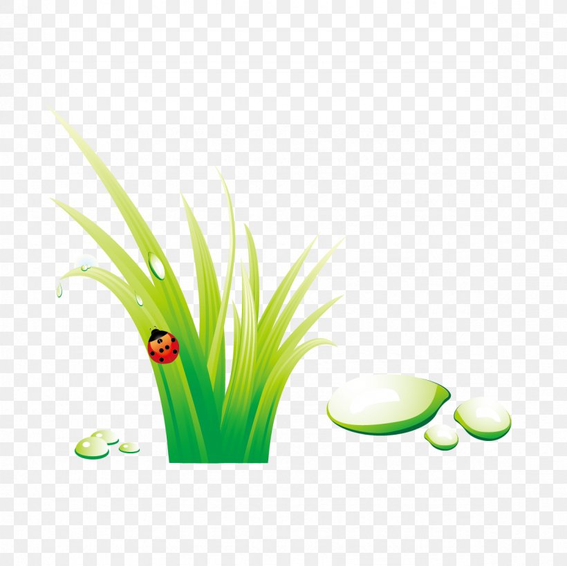 Insect Wallpaper, PNG, 1181x1181px, Insect, Flora, Flower, Flowerpot, Grass Download Free
