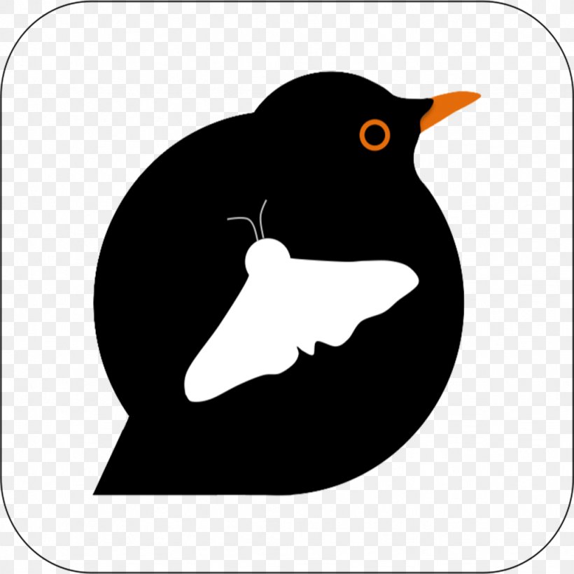 Penguin Bird App Store Beak Finches, PNG, 1024x1024px, Penguin, App Store, Apple, Artwork, Beak Download Free