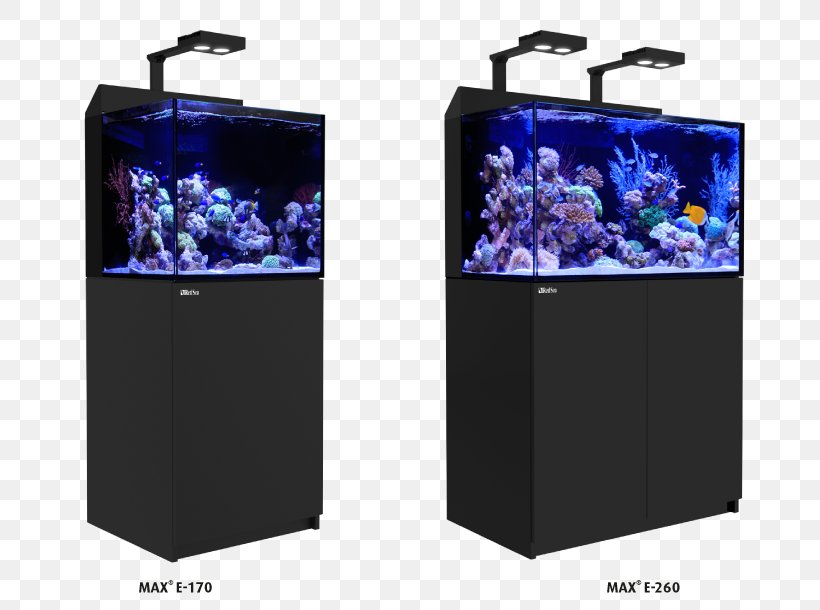 Red Sea Reef Aquarium Coral Reef Light, PNG, 791x610px, Red Sea, Aquarium, Coral, Coral Reef, Display Device Download Free