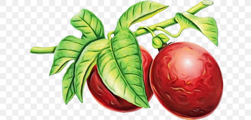 Vegetable Food Natural Foods Plant Leaf, PNG, 640x394px, Watercolor, Flower, Food, Fruit, Leaf Download Free