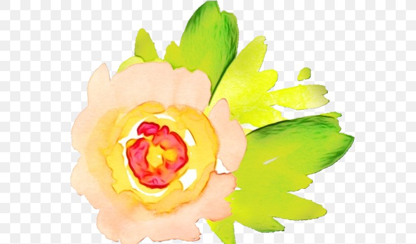 Yellow Petal Clip Art Flower Plant, PNG, 581x481px, Watercolor, Cut Flowers, Flower, Paint, Petal Download Free