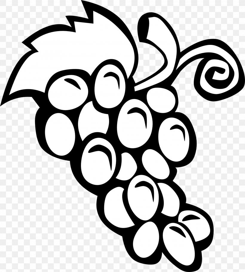 Common Grape Vine Wine Fruit Clip Art, PNG, 1979x2194px, Common Grape Vine, Black, Black And White, Flora, Flower Download Free