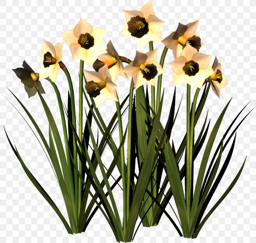 Cut Flowers Clip Art, PNG, 1063x1012px, Flower, Cut Flowers, Daffodil, Floral Design, Floristry Download Free