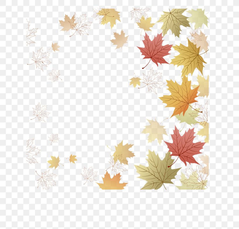 Paper Maple Leaf Japanese Maple Autumn Leaf Color, PNG, 800x786px, Paper, Autumn, Autumn Leaf Color, Border, Floral Design Download Free