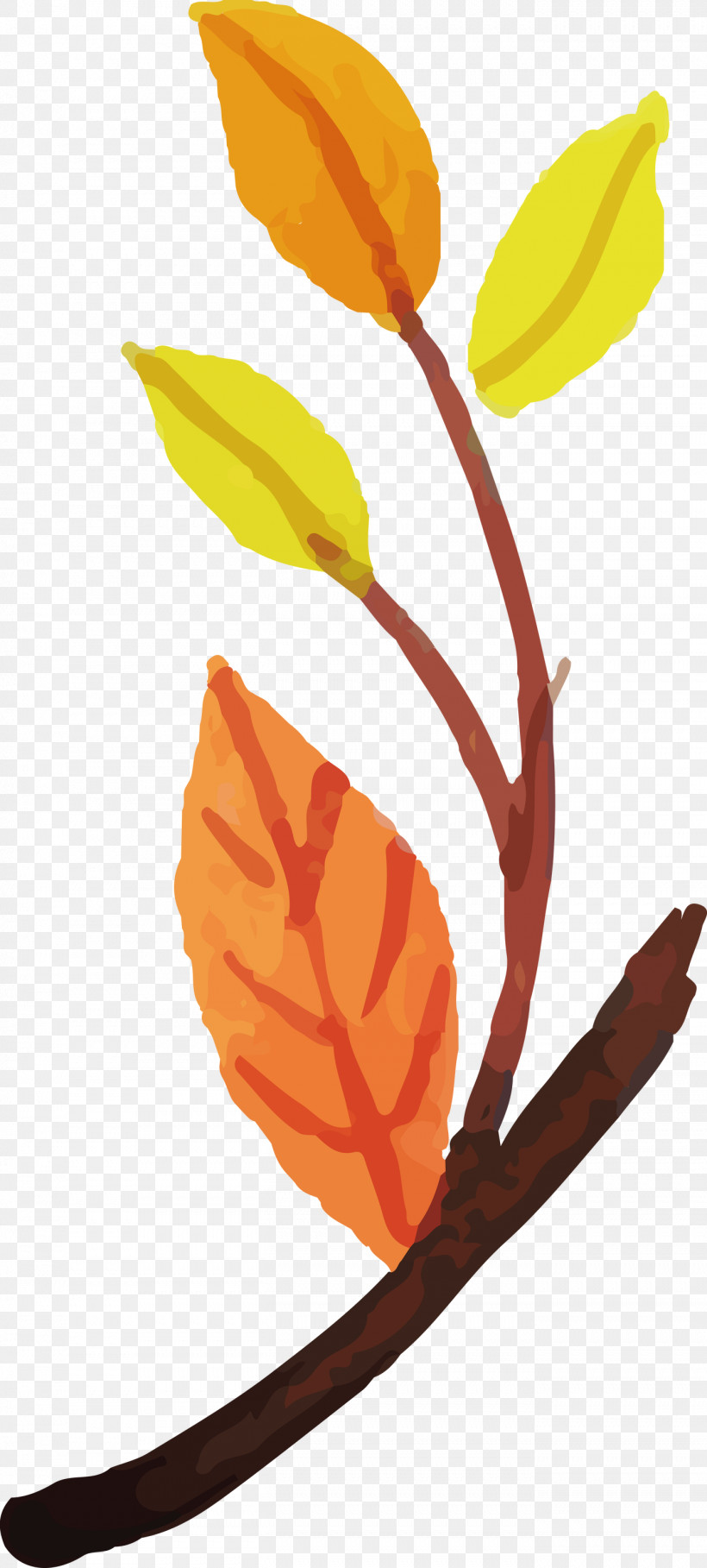Plant Stem Leaf Petal Flower Plants, PNG, 1353x2999px, Watercolor Autumn, Biology, Colorful Leaf, Flower, Leaf Download Free