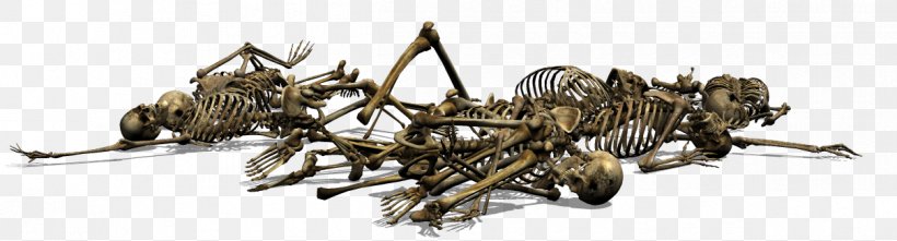 Skeleton Image Photography Blog, PNG, 1209x326px, Skeleton, Auto Part, Blog, Internet, Multimedia Download Free