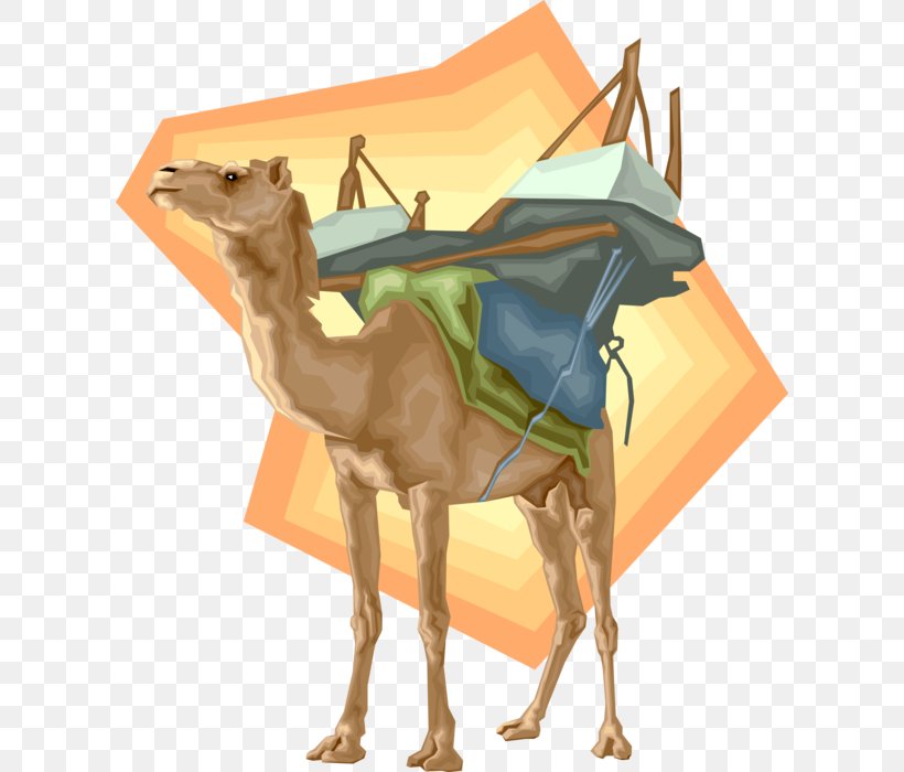 Dromedary Clip Art Vector Graphics Illustration Image, PNG, 610x700px, Dromedary, Arabian Camel, Camel, Camel Like Mammal, Cartoon Download Free