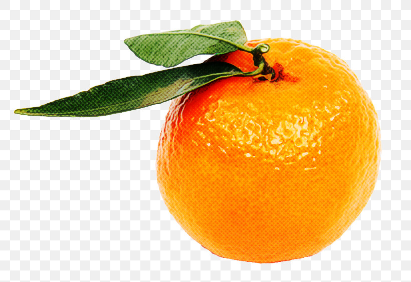 Orange, PNG, 800x563px, Fruit, Accessory Fruit, Bitter Orange, Citric Acid, Citrus Download Free