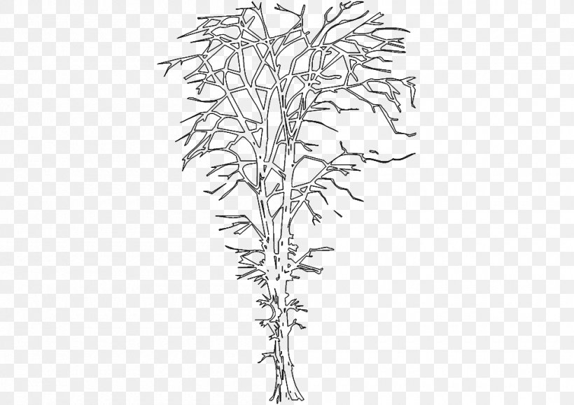 Twig Line Art Plant Stem Leaf White, PNG, 1000x707px, Twig, Black And White, Branch, Drawing, Flora Download Free