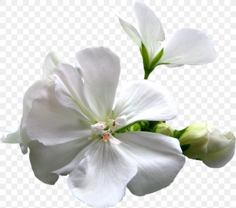 Artificial Flower Plant Vecteur, PNG, 1280x1133px, Flower, Artificial Flower, Blossom, Cut Flowers, Drawing Download Free