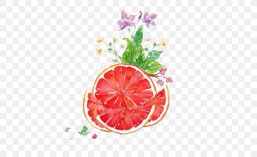 Grapefruit Juice Pomelo Watercolor Painting, PNG, 524x500px, Grapefruit Juice, Citrus Xd7 Sinensis, Designer, Food, Fruit Download Free