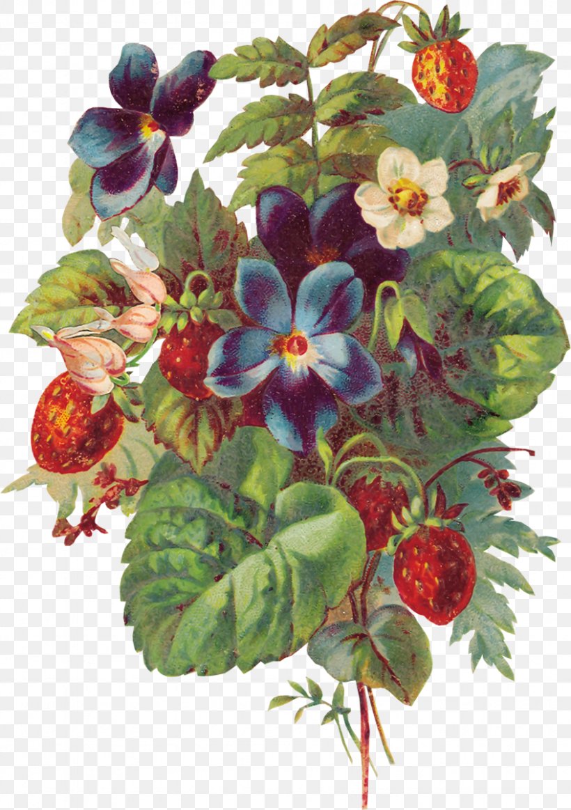 Pansy Musk Strawberry Clip Art, PNG, 846x1200px, Pansy, Berry, Floral Design, Flower, Flower Arranging Download Free