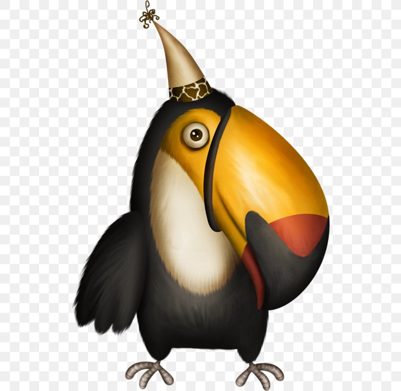 Toucan Woodpecker Bird, PNG, 528x800px, Toucan, Animated Cartoon, Animated Film, Beak, Bird Download Free