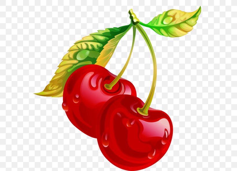 Child Vegetable Cherry Fruit, PNG, 591x591px, Child, Banana, Bell Peppers And Chili Peppers, Cherry, Chili Pepper Download Free