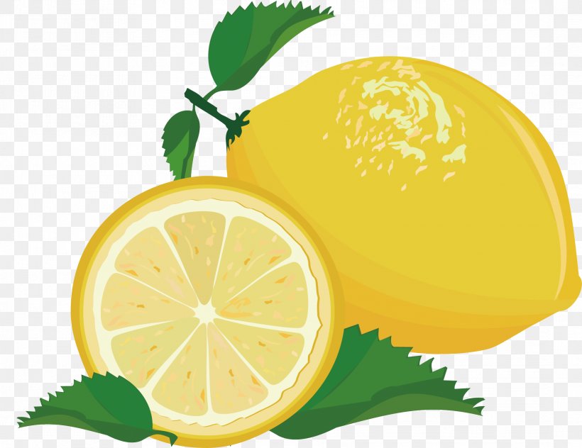 Lemon Key Lime Fruit, PNG, 2177x1679px, Lemon, Bitter Orange, Citric Acid, Citron, Citrus Download Free