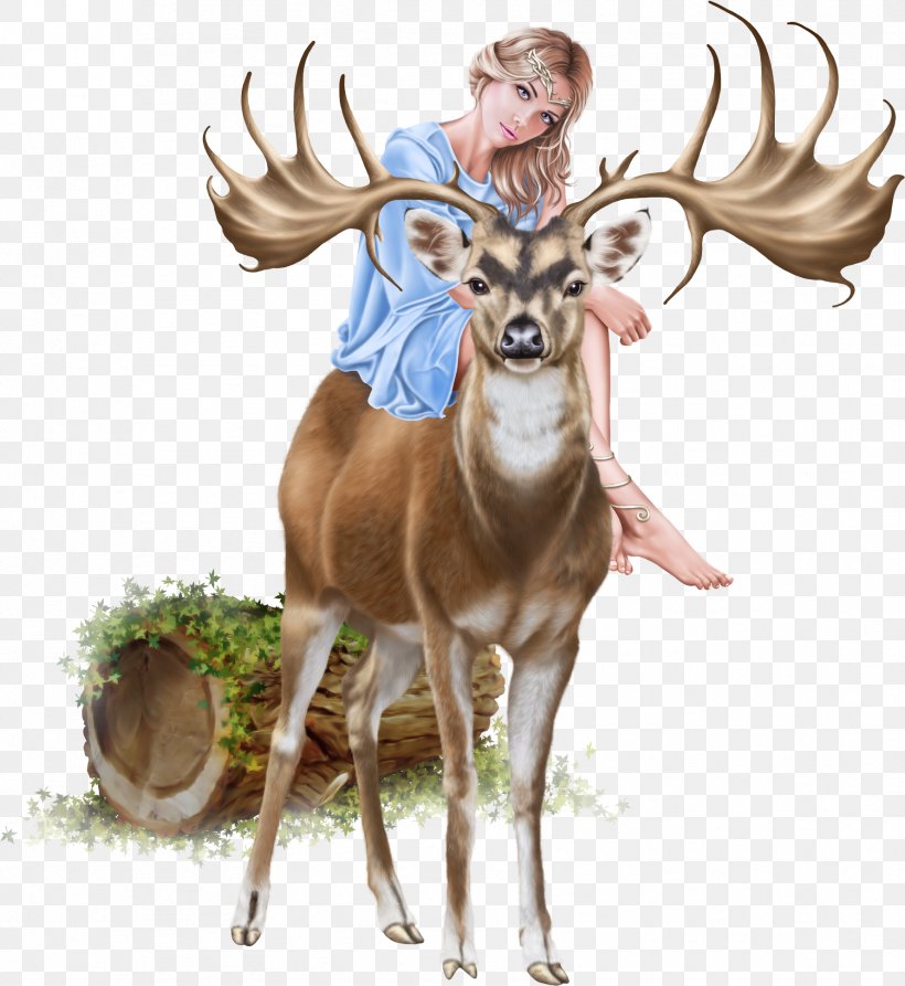 Reindeer Cartoon, PNG, 1779x1938px, Deer, Antler, Drawing, Elk, Fawn Download Free