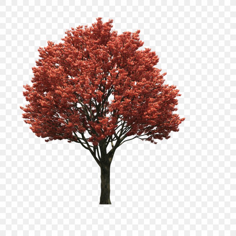 Tree LOFTER, PNG, 1024x1024px, 3d Computer Graphics, Tree, Autumn, Blog, Branch Download Free