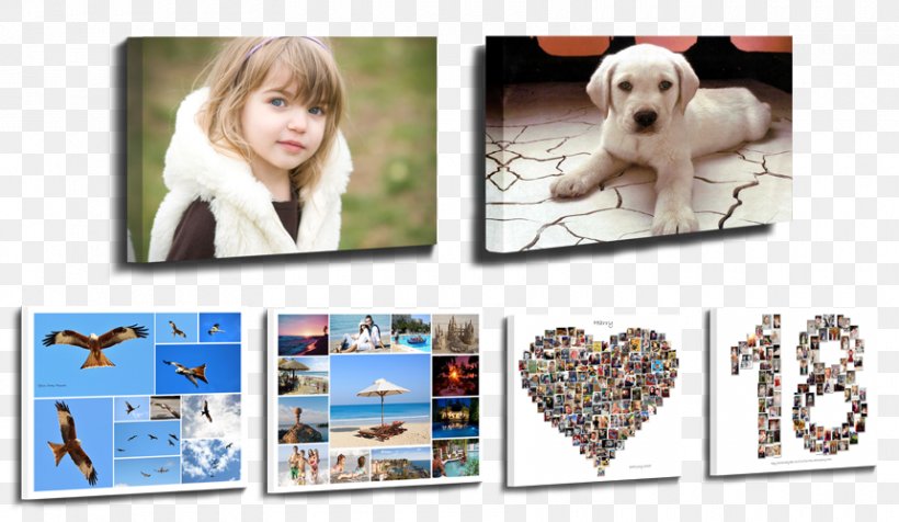 Canvas Print Printing Photographic Paper, PNG, 860x500px, Canvas Print, Canvas, Collage, Dog Breed, Dog Like Mammal Download Free