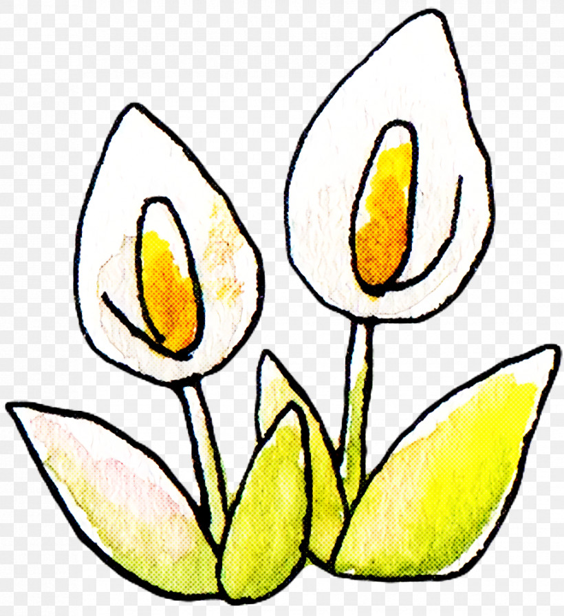 Line Art Tulip Cut Flowers Petal Watercolor Painting, PNG, 916x1000px, Line Art, Cut Flowers, Flower, Logo, Petal Download Free