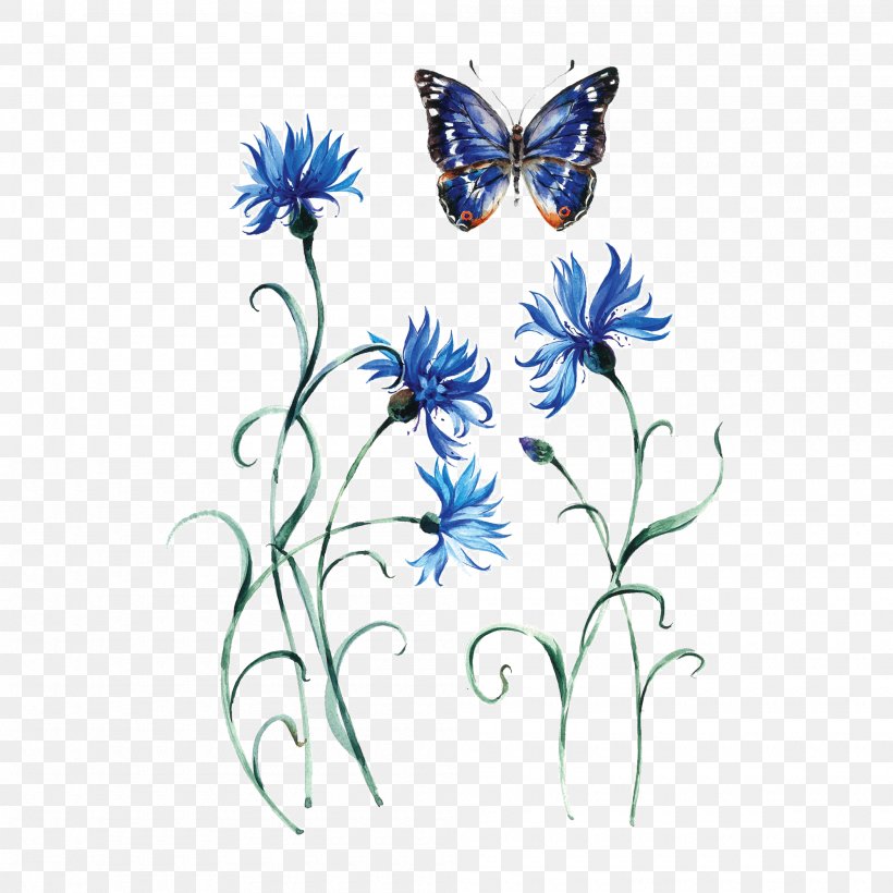 Monarch Butterfly Cornflower Abziehtattoo Tattoo Artist, PNG, 2000x2000px, Monarch Butterfly, Abziehtattoo, Art, Arthropod, Artwork Download Free