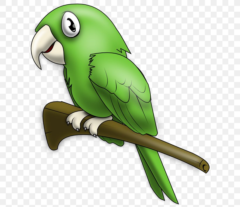 True Parrot Lovebird Clip Art, PNG, 613x707px, Parrot, Beak, Bird, Companion Parrot, Drawing Download Free