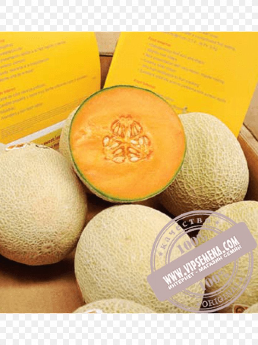 Cantaloupe Honeydew Vegetarian Cuisine Seed Rijk Zwaan, PNG, 1000x1340px, Cantaloupe, Artikel, Auglis, Cucumber Gourd And Melon Family, Food Download Free