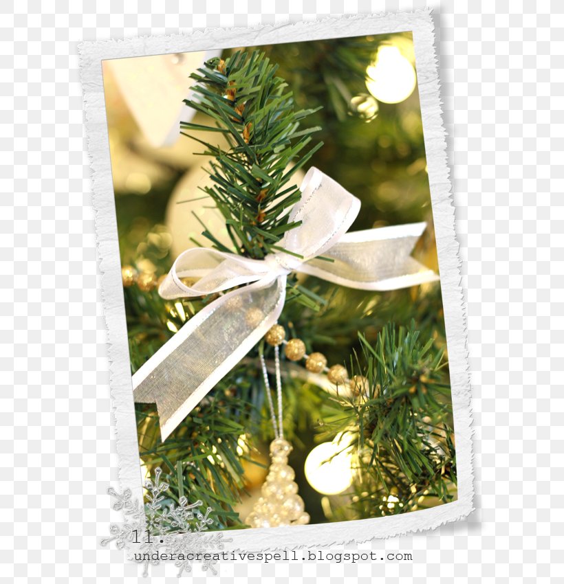 Christmas Ornament, PNG, 603x850px, Christmas Ornament, Christmas, Christmas Decoration, Conifer, Decor Download Free