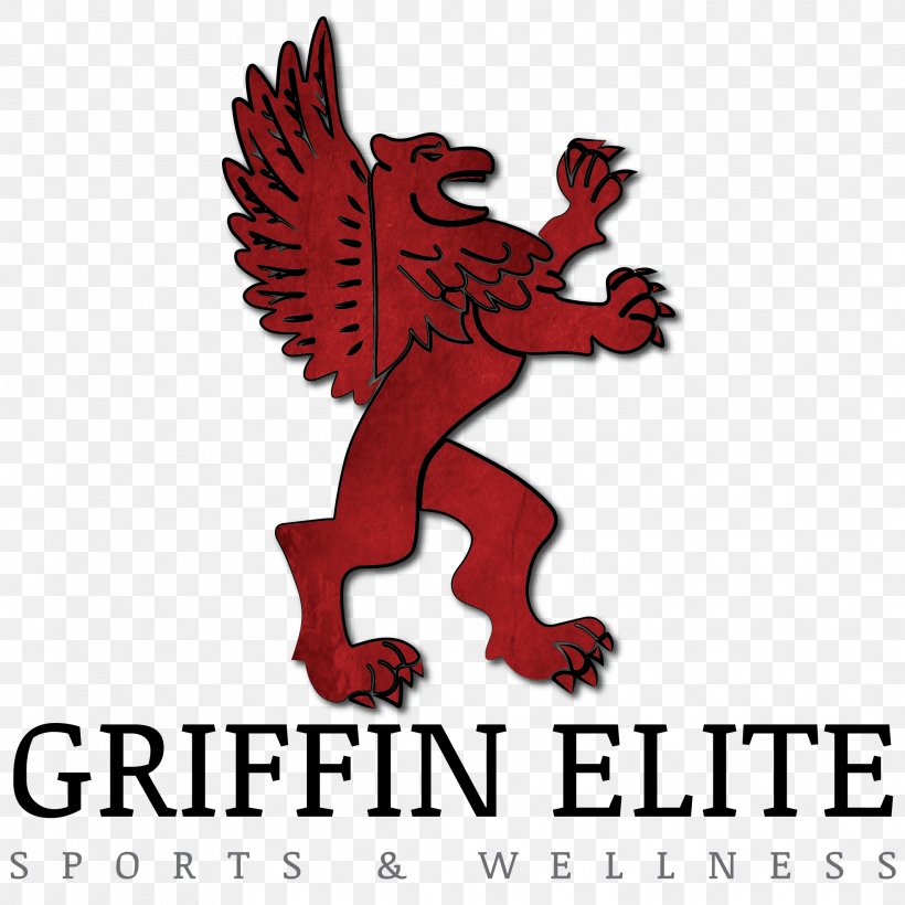 Griffin Elite Sports & Wellness Flying Pig Marathon Health, Fitness And Wellness Coach, PNG, 2133x2133px, Flying Pig Marathon, Athlete, Coach, Erlanger, Fictional Character Download Free