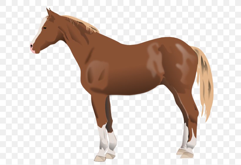 Mustang American Paint Horse American Quarter Horse Mare Stallion, PNG, 688x561px, Mustang, American Paint Horse, American Quarter Horse, Animal, Animal Figure Download Free