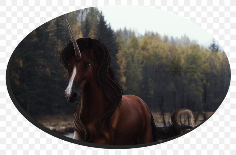 Mustang Stallion Mare Freikörperkultur Sadio Mané, PNG, 1102x725px, Mustang, Horse, Horse Like Mammal, Liverpool Fc, Mane Download Free