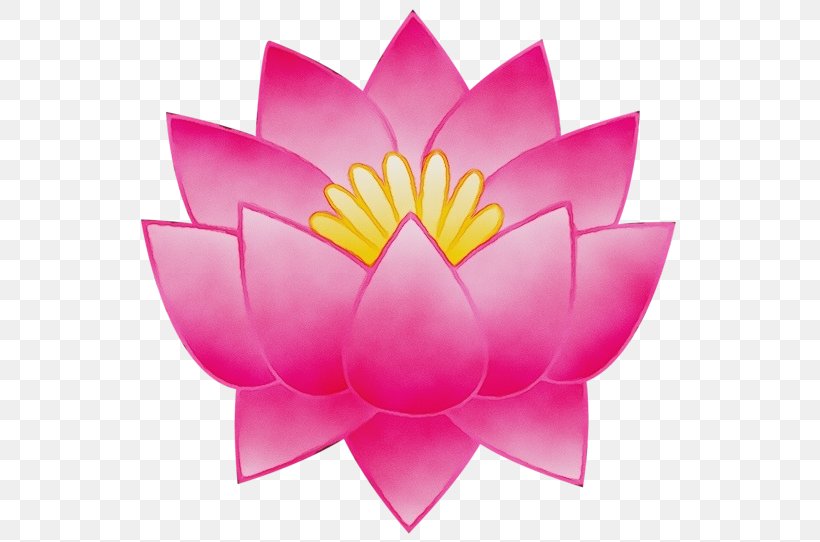 Nymphaea Nelumbo Transparency Lotus Flower Collection, PNG, 550x542px, Watercolor, Aquatic Plant, Flower, Lotus, Lotus Family Download Free