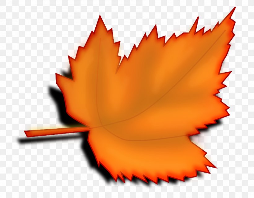 Desktop Wallpaper Clip Art, PNG, 900x702px, Document, Autumn Leaf Color, Flower, Leaf, Maple Leaf Download Free