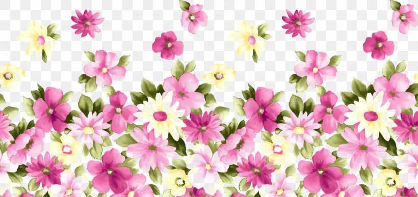 Flower Floral Design Pastel Wallpaper, PNG, 1600x757px, Flower, Annual Plant, Art, Blossom, Chrysanths Download Free