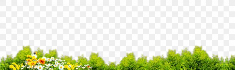 Lawn Energy Grasses Green Wallpaper, PNG, 1000x300px, Lawn, Computer, Energy, Family, Grass Download Free