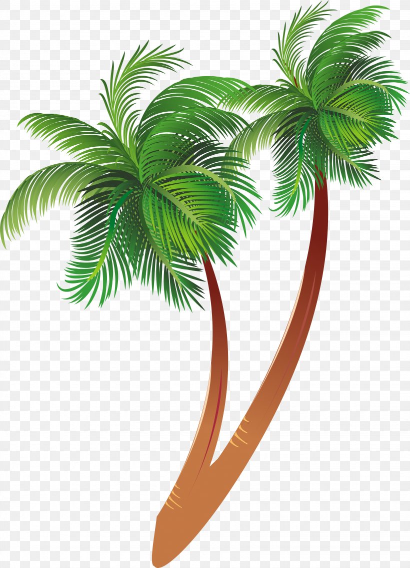 Arecaceae Tree Clip Art, PNG, 3287x4546px, Arecaceae, Arecales, Coconut, Computer Graphics, Flowering Plant Download Free