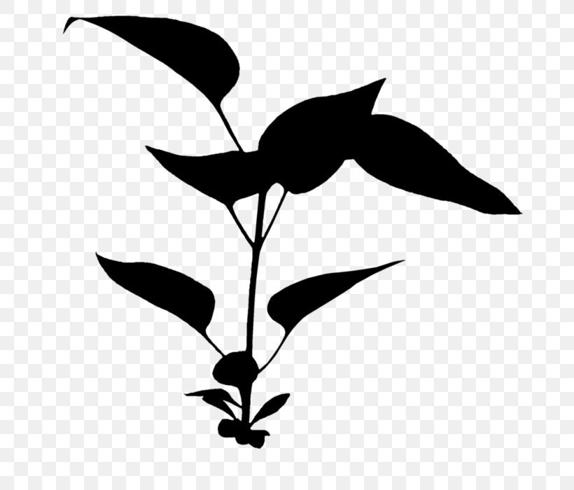 Clip Art Flower Plant Stem Leaf Silhouette, PNG, 695x700px, Flower, Beak, Black, Blackandwhite, Botany Download Free