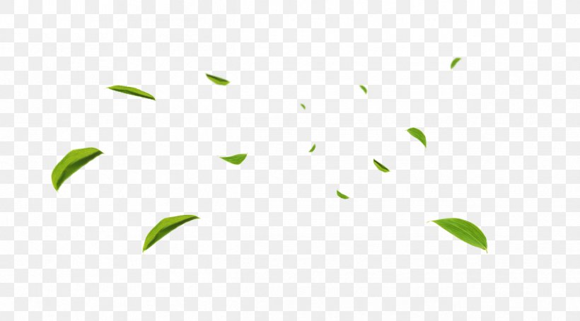 Download Copyright, PNG, 1266x702px, Copyright, Grass, Green, Highdefinition Television, Leaf Download Free
