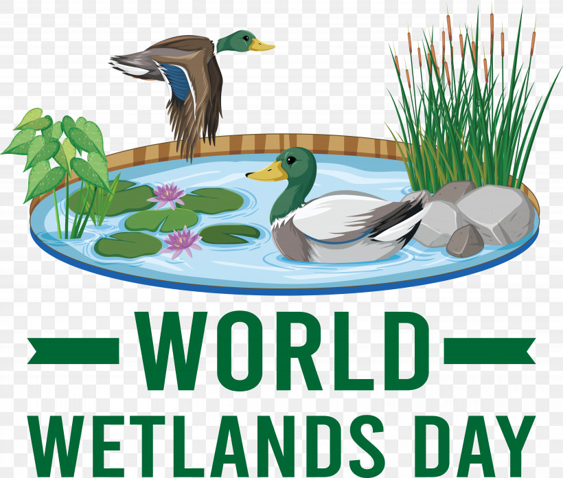 World Wetlands Day, PNG, 6062x5152px, World Wetlands Day Download Free