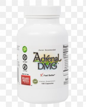 Adrenal - Adrenal Gland Circulatory System Hormone Dietary Supplement PNG
