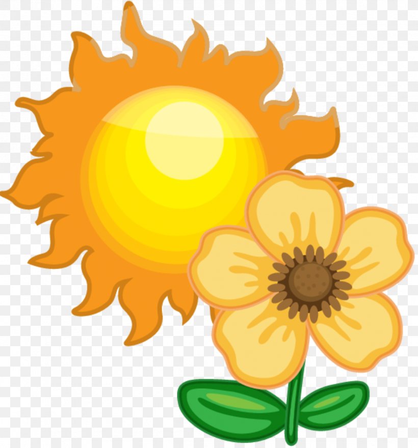 Clip Art Weather Forecasting Sunflower Seed Free Content, PNG, 1226x1316px, Weather, Cut Flowers, Daisy Family, English Marigold, Flower Download Free