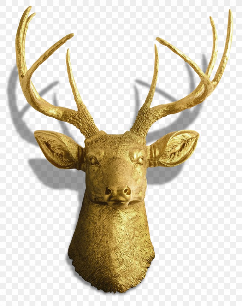Elk Antler Reindeer Moose, PNG, 830x1050px, Elk, Antler, Cafe, Clothing Accessories, Deer Download Free