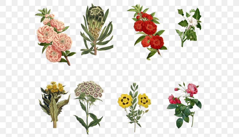 Floral Design Cut Flowers Rose, PNG, 600x471px, Floral Design, Art, Cut Flowers, Flora, Floristry Download Free